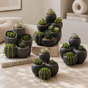 Organic Succulent Planter Bundle STL, Modern Multi Planter Set