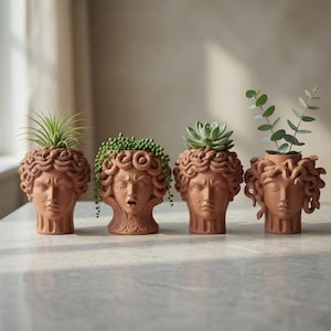 May include: Four terracotta-colored Medusa head planters, each with a different plant. The planters are arranged on a light-colored surface. The plants include a succulent, a trailing plant, and a leafy green plant. The planters are a unique home decor item.