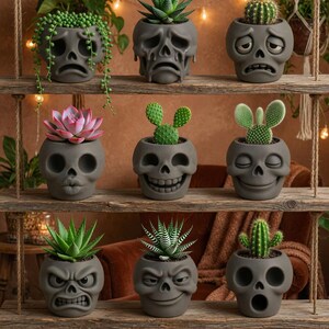 May include: A collection of gray skull-shaped planters with various expressions, each holding a different succulent or cactus. The planters are arranged on wooden shelves, creating a unique and decorative display. The plants include a variety of colors and textures.
