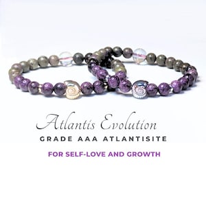 Atlantis Evolution | Nautilus Shell | Legend | Genuine Gemstone Bracelet