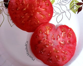 BIG RED TOMATO - Heirloom - The Original - Great Tasting - Read the Story Behind the Tomato! | 20+ Seeds