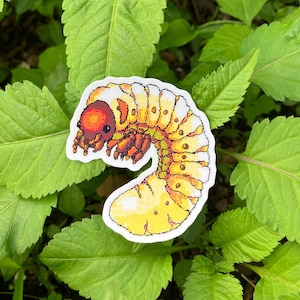 May include: A die-cut sticker featuring a pixel art illustration of a C-shaped grub larva. The creature has a rounded, reddish-brown head with visible mouthparts and a segmented, pale yellow body with orange-toned shading and dark outlines.
