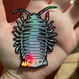 May include: A holographic sticker of an isopod featuring a segmented body with multiple legs and two antennae. The sticker displays a shifting iridescent colour palette with black outlines, showing vibrant pink and green light reflections on its surface.