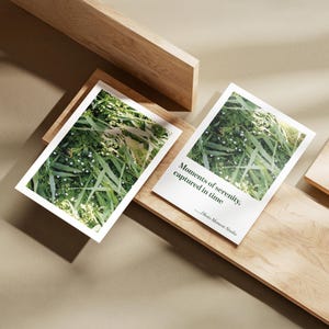 May include: Two rectangular art prints with images of green plants and white flowers are displayed on a wooden surface. One print has the text "Moments of serenity, captured in time." The prints are surrounded by wooden blocks.