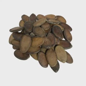 May include: A collection of numerous flat, oval-shaped brown seeds. Each seed features a smooth, matte texture with varying shades of tan, light brown, and dark brown. The seeds are clustered together in a dense, irregular pile against a plain background.