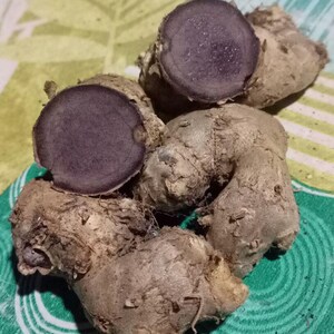 May include: A cluster of raw black turmeric rhizomes with a light brown, textured outer skin. Two of the rhizomes are sliced open, revealing a deep, dark purple interior flesh with a dense, moist, and slightly fibrous appearance.