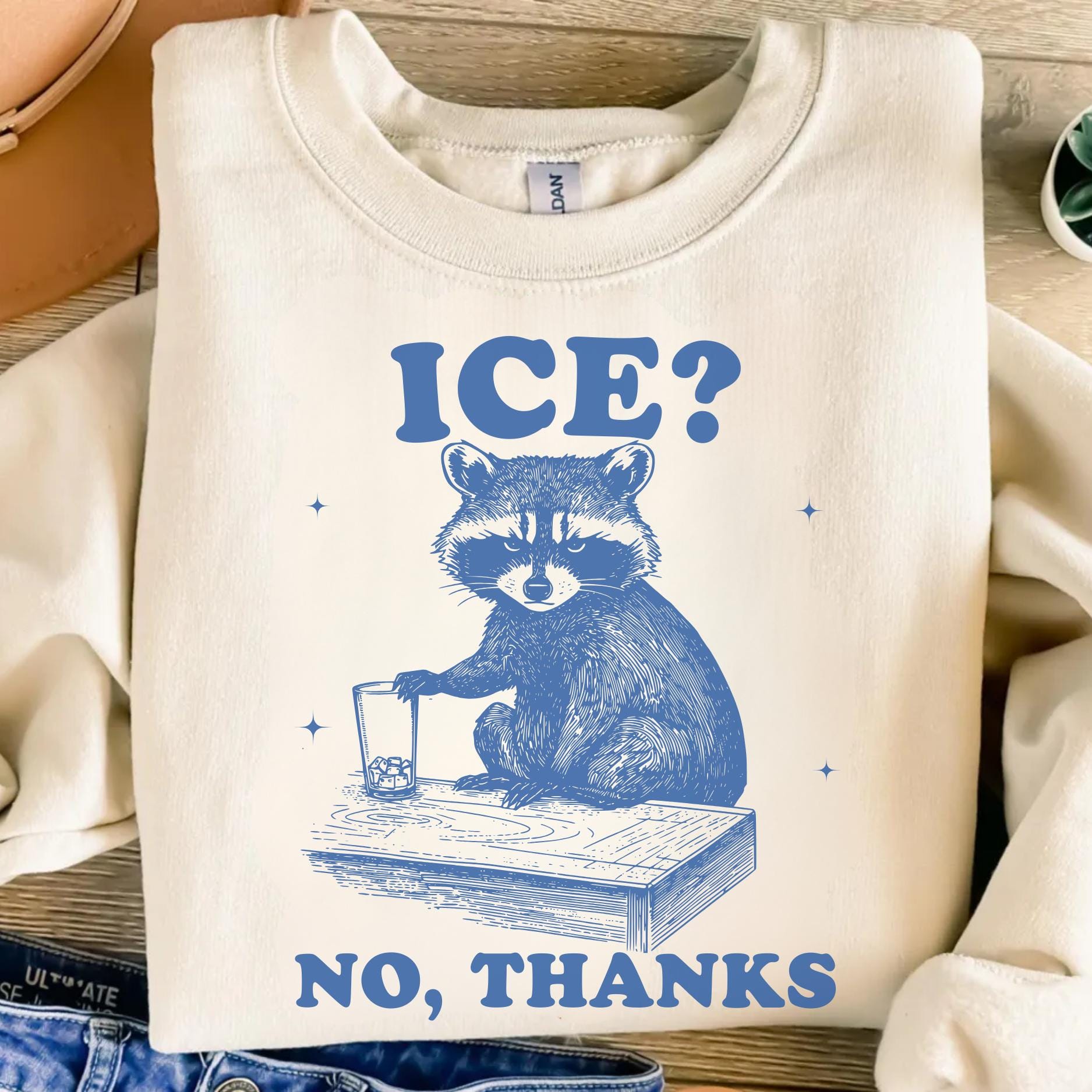No Ice Please Raccoon PNG SVG, Funny Anti Ice Drink Png, Ironic Ice No ...