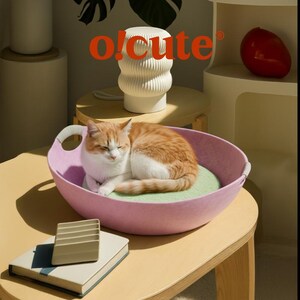 May include: A sleeping orange and white cat rests in a pink cat bed with a light green cushion. The bed has two handles. The word "o!cute" is printed in orange. A small, beige organizer sits on a closed book.
