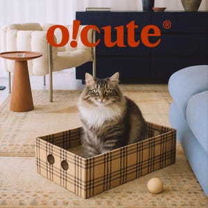 Cat House with Scratcher – Modern Cardboard Cat Bed for Play & Sleep | Stylish Indoor Design