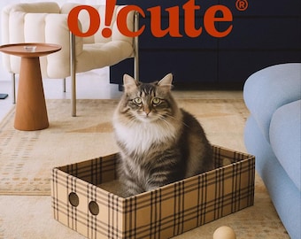 Cat House with Scratcher – Modern Cardboard Cat Bed for Play & Sleep | Stylish Indoor Design
