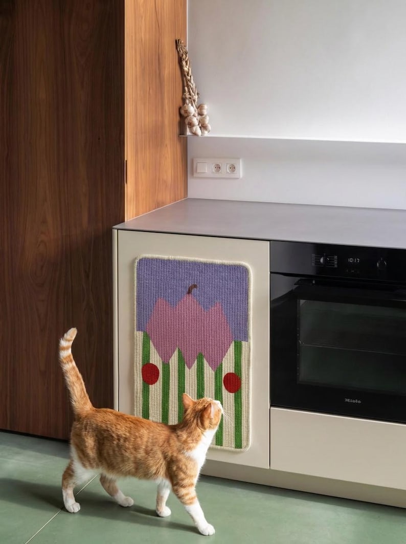May include: A kitchen scene features a colorful, woven wall hanging with a pink apple design, green and white striped stems, and red dots. An orange tabby cat stands in front of the cabinet, looking up. A black oven and wooden door are also visible.