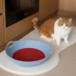 May include: A blue cat bed with a red center sits on a white rug, next to a brown and white cat. The image includes the text "o!cute".