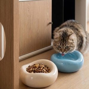 May include: A fluffy brown tabby cat drinks water from a smooth, rounded light blue ceramic bowl. Next to it sits a matching beige ceramic bowl filled with brown dry kibble. Both bowls have a thick, curved rim and a glossy finish.