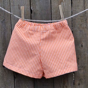 May include: Orange and white gingham shorts hanging on a clothesline.