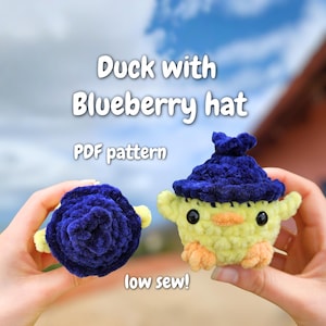 Ente mit Blaubeer-Hut Häkelanleitung Squishy Obst Hut klein Küken Essen Plüsch Anleitung kawaii anfängerfreundlicher Amigurumi-Guide