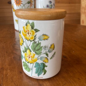 Portmeirion Botanic Garden Canister Luftdichte Aufbewahrung Kräuterversteckglas Holzdeckel, Barbados Baumwollblume Gossypium Barbadense 13,2 cm