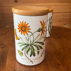 Portmeirion Botanischer Gartenkanister Luftdichte Aufbewahrung Großer Kräuterbehälter Holzdeckel Arctotis Grandiflora Afrikanisches Gänseblümchen 8,5 "Vintage Dekor
