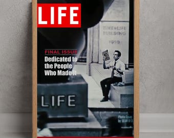 Secret Life of Walter Mitty Magazine Poster, Wand Kunst Dekor, Raumdekoration, personalisierte Geschenke, Leinwand Film Poster