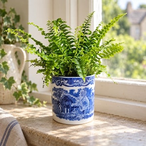 May include: A vibrant green fern plant potted in a cylindrical ceramic container. The white ceramic pot features a detailed blue transferware pattern depicting a landscape with architectural ruins and a decorative border along the top rim.