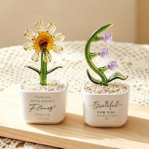 Glass Plant Pot, Personalized Name Mini Glass Flower Cactus Ornament, End Of School Term Gift, Teacher Appreciation, Back to School image 11