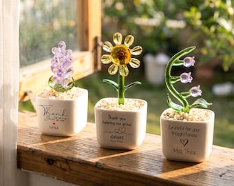 Glass Plant Pot, Personalized Name Mini Glass Flower Cactus Ornament, End Of School Term Gift, Teacher Appreciation Desk Table Decoration