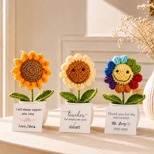 May include: Three crocheted flowers in small white pots. The left is a yellow sunflower with a note saying I will always support you, Lucy. Love, Thea. The middle is a pale yellow flower with a smiling face and a note saying teacher For helping me grow Vivian. The right is a rainbow-coloured flower with a smiling face and a note saying Thank you for the encounter Ms. Lucy 2025-2026.
