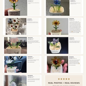 May include: A collection of glass flower ornaments in small square white pots filled with decorative pebbles. Each glass flower features distinct colors and shapes, with some pots displaying printed text messages in various languages.