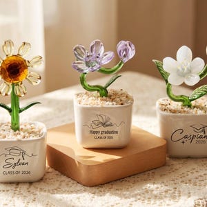 Può includere: Tre sculture di fiori in vetro in vasi quadrati bianchi. I fiori sono gialli, viola e bianchi. Ogni vaso ha un design a tema laurea e il nome del laureato. I vasi poggiano su un blocco di legno.