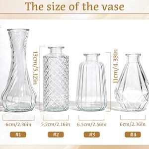 May include: Clear glass vases of varying shapes and sizes are displayed, with measurements in inches and centimeters. The tallest vase is 15cm/5.9in tall, while the shortest are 11cm/4.33in. The image includes the text "The size of the vase."