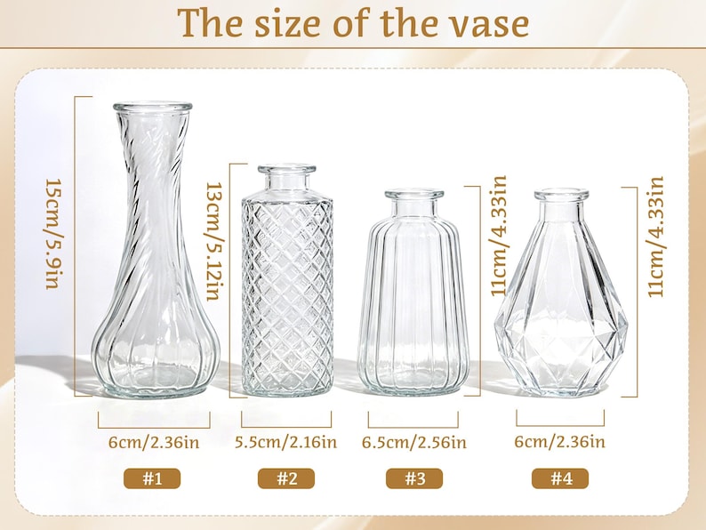 May include: Clear glass vases of varying shapes and sizes are displayed, with measurements in inches and centimeters. The tallest vase is 15cm/5.9in tall, while the shortest are 11cm/4.33in. The image includes the text "The size of the vase."
