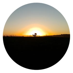 May include: A park bench silhouette on a grassy hill, with a vivid sunset as a backdrop. The sky gradients from pale blue to bright orange and yellow, the sun's light highlighting the horizon. The image is framed in a circular shape.