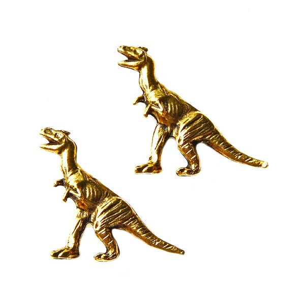 Dinosaur Cufflinks - Express Yourself!