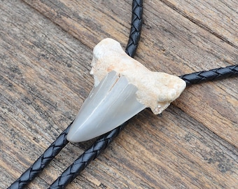 Genuine Shark Tooth Fossil Bolo Tie - Customizable Cord Color, Tips and Length - Ask About Gold Tips - Express Yourself!