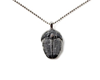 Genuine Trilobite Fossil Pendant Necklace With Adjustable Chain