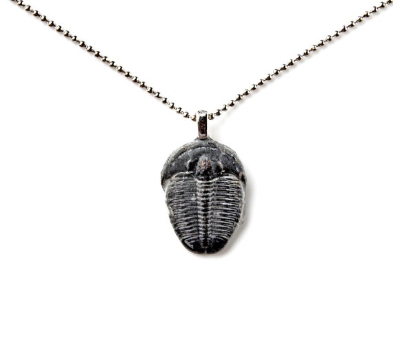 Buy Genuine Trilobite Fossil Pendant Necklace With Adjustable Chain Online in India Etsy