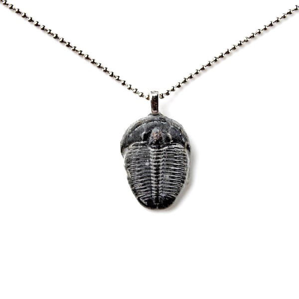 Genuine Trilobite Fossil Pendant Necklace With Adjustable Chain