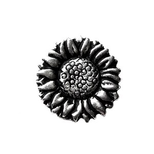 Amazing Details COLOSSEUM Lapel Pin Tack Pin E11