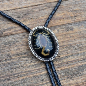 Genuine Scorpion Bolo Tie - Sustainably and Humanely Obtained - Oval - Customizable Cord Color, Tips and Length - Express Yourself!