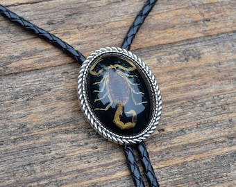Genuine Scorpion Bolo Tie - Sustainably and Humanely Obtained - Oval - Customizable Cord Color, Tips and Length - Express Yourself!