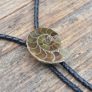 Genuine Ammonite Fossil Bolo Tie - Customizable Cord Color, Tips and Length - Ask About Gold Tips - Express Yourself!