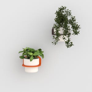 Puede incluir: Dos maceteros de pared con macetas cilíndricas blancas sujetas por soportes de colores. El macetero inferior tiene un soporte naranja brillante con una planta verde, mientras que el superior tiene un soporte marrón oscuro con una planta colgante.