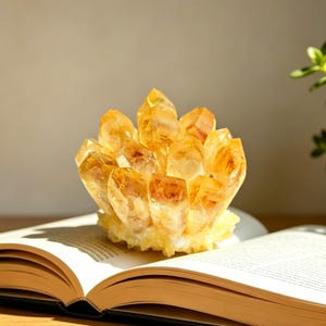 Pode incluir: Um aglomerado de cristais de citrino amarelo-dourado translúcido com terminações afiadas e pontiagudas. A formação cristalina repousa sobre as páginas abertas de um livro, exibindo uma base natural irregular e superfícies facetadas.