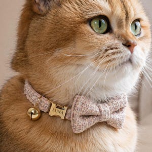 Könnte beinhalten: Nahaufnahme einer golden-braunen Katze mit einem rosa Tweed-Halsband und einer passenden Fliege. Das Halsband hat eine goldfarbene Glocke und eine goldene Schnalle mit der Aufschrift "LUNA". Die Katze hat grüne Augen und schaut zur Seite.