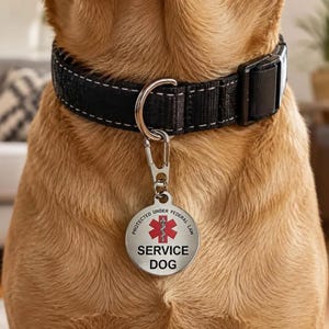 Puede incluir: Un collar de perro de nailon negro con una anilla en D de metal plateado y una placa circular plateada sujeta por un mosquetón. La placa presenta un símbolo rojo de estrella de la vida, el texto SERVICE DOG y PROTECTED UNDER FEDERAL LAW.