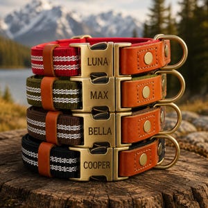 May include: A stack of four dog collars featuring red, olive green, brown, and black nylon webbing with reflective silver stripes. Each collar has a tan leather accent, a brass-toned metal buckle engraved with the names Luna, Max, Bella, or Cooper.
