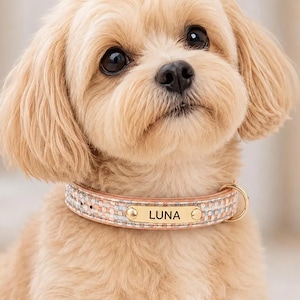 May include: A light-colored dog with long, soft fur wearing a patterned collar. The collar features a woven texture in shades of beige, blue, and white, with a gold-toned metal nameplate engraved with the name LUNA and a gold metal D-ring.
