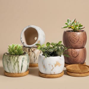 Puede incluir: Una colección de pequeñas macetas decorativas con plantas. Las macetas son de cerámica y madera, con diversas texturas y colores, incluyendo mármol, vetas de madera y verde. Cada maceta se asienta sobre una pequeña base redonda de madera.