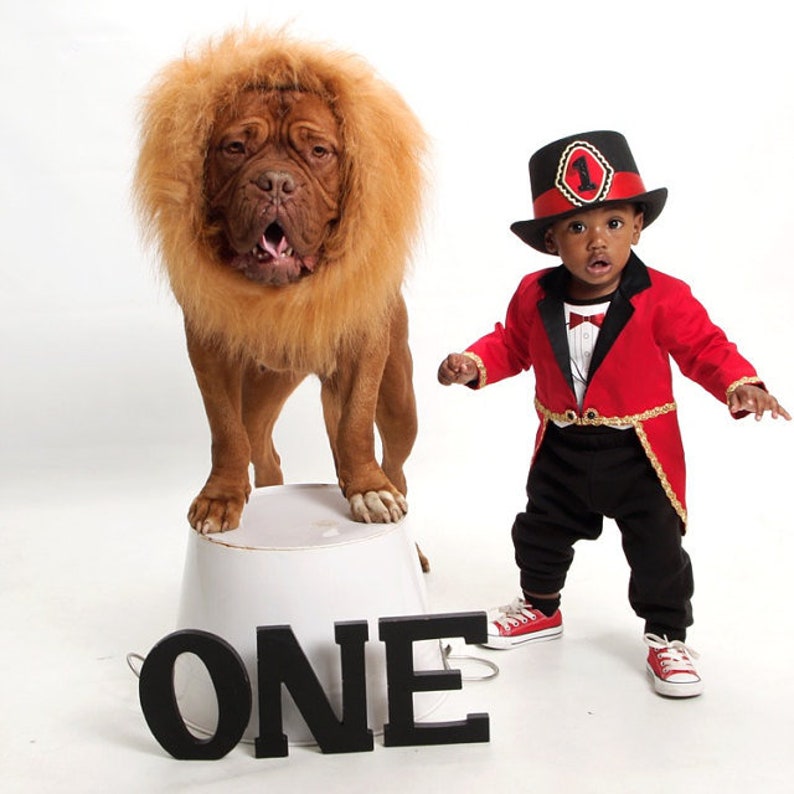 May include: A baby boy dressed as a ringmaster in a red and black costume with a top hat stands next to a dog wearing a lion mane. The dog is standing on a white pedestal with the word "ONE" in black letters in front of it.