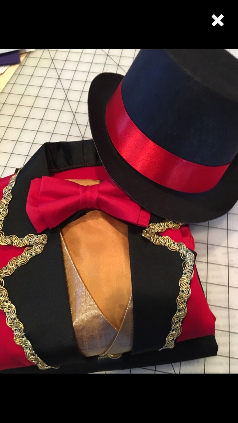 May include: A black and red ringmaster costume with gold trim. The costume includes a jacket, bow tie, and top hat.