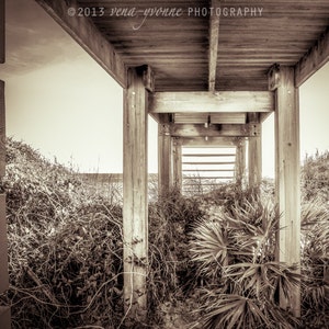 wall art, home decor, beach, coastal, beach access, wooden stairs, tropical plants, sepia